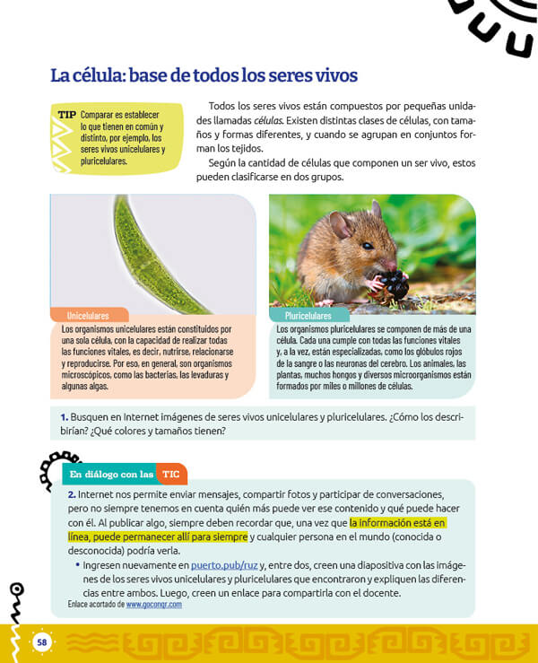 muestra