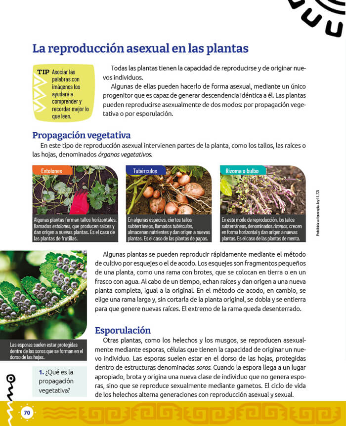 muestra