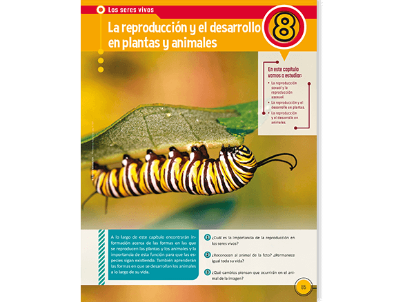 muestra