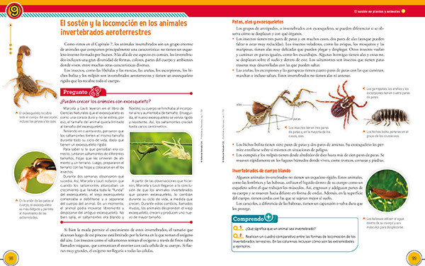 muestra