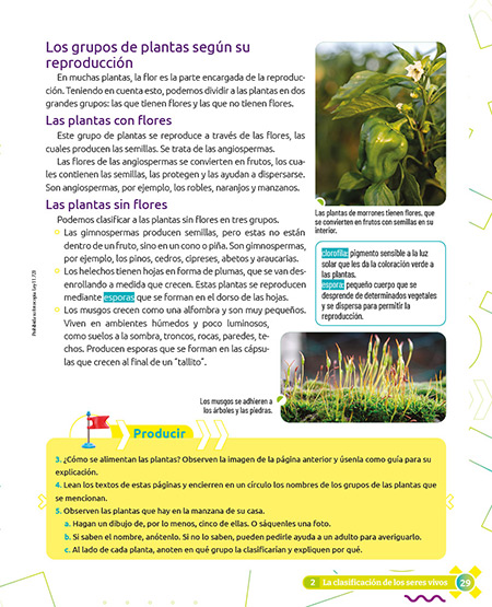 muestra