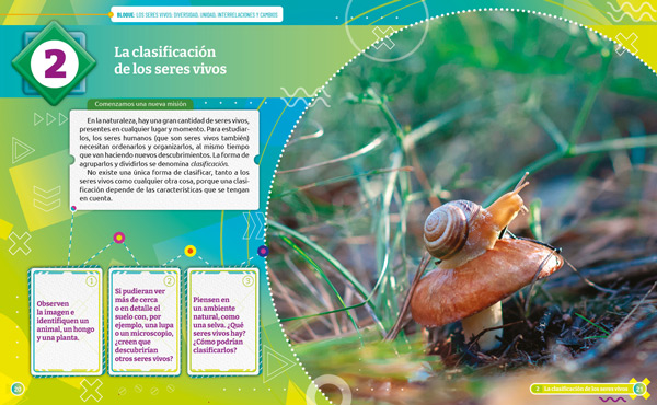 muestra